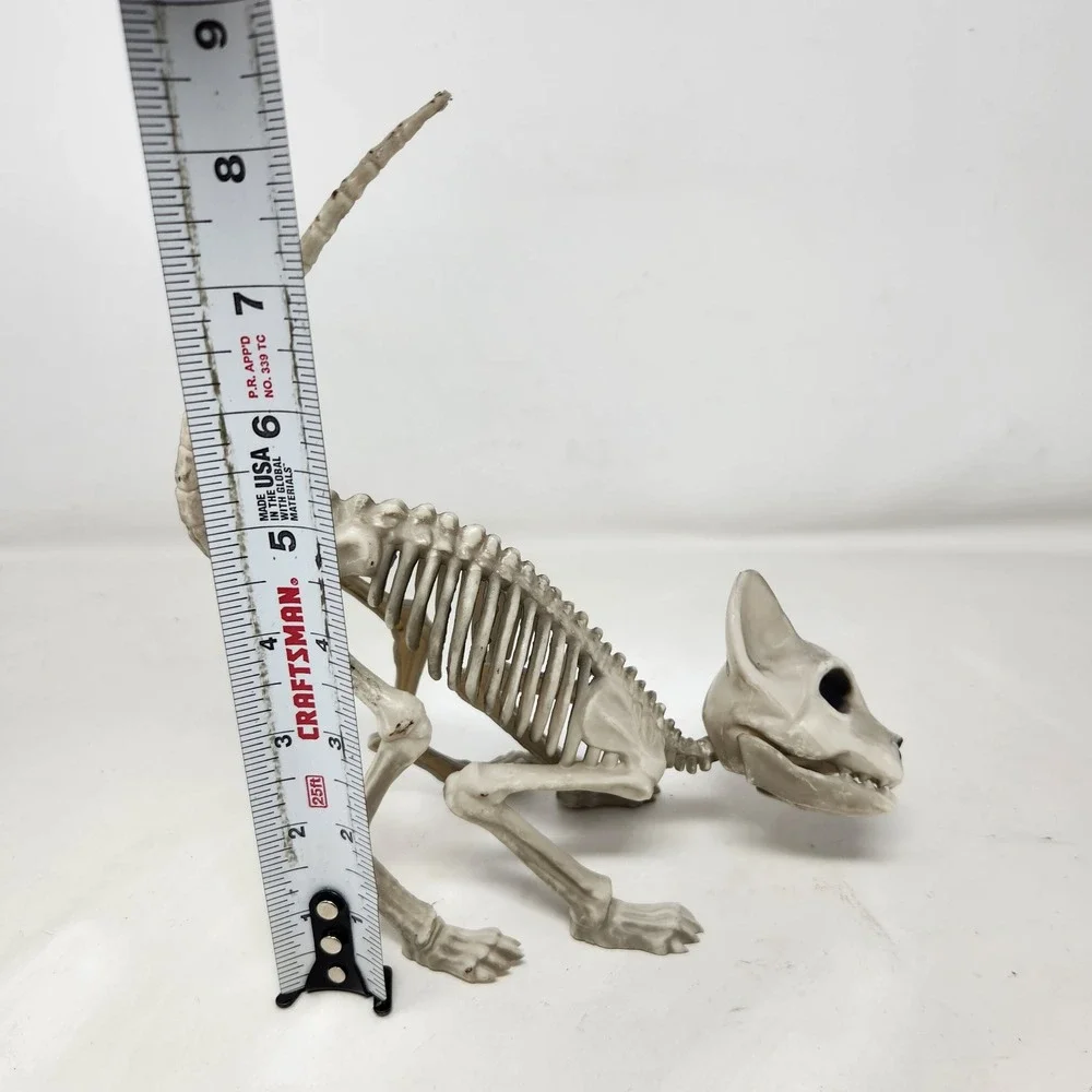 Seasons Halloween Cat Skeleton Prop Posable Tail Movable Jaw Spooky Decor